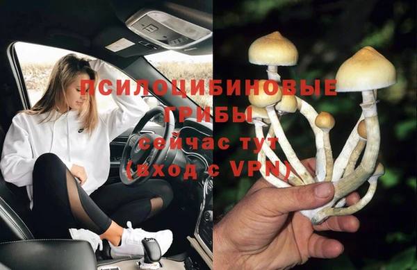 ПСИЛОЦИБИНОВЫЕ ГРИБЫ Магас