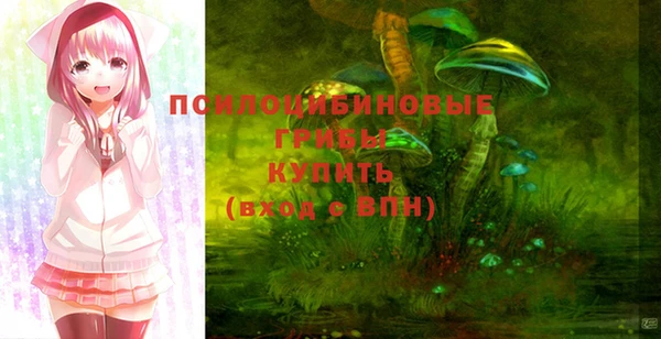 ПСИЛОЦИБИНОВЫЕ ГРИБЫ Магас