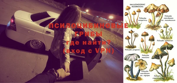 ПСИЛОЦИБИНОВЫЕ ГРИБЫ Магас
