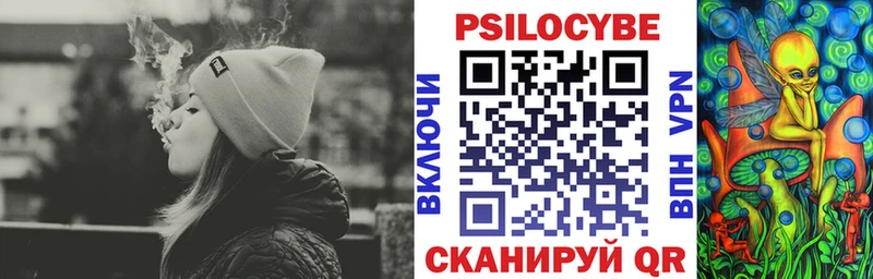 Купить где  Шебекино  Псилоцибиновые грибы Magic Shrooms