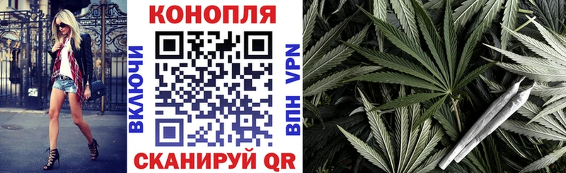 Купить закладки  Шебекино  Конопля SATIVA & INDICA 